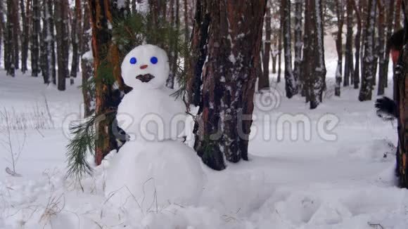 松林中的人雪人视频的预览图