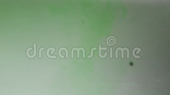 液体中的绿色粉末抽象背景视频的预览图