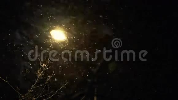 可怕的暴雪在夜晚视频的预览图
