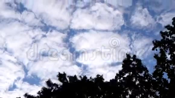 白云在绿树之上移动视频的预览图
