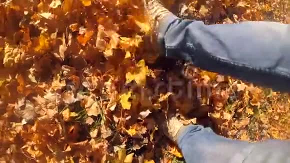 在阳光明媚的秋日走在地上的人倒了黄枯叶视频的预览图
