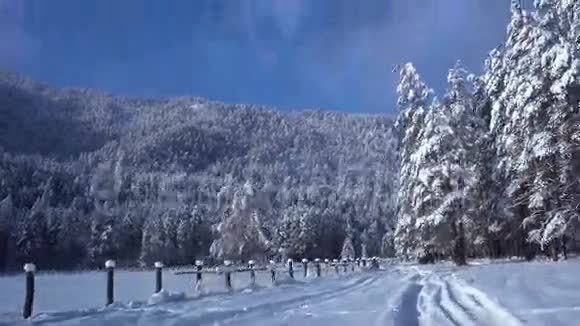 乘车穿越白雪覆盖的森林4k视频的预览图