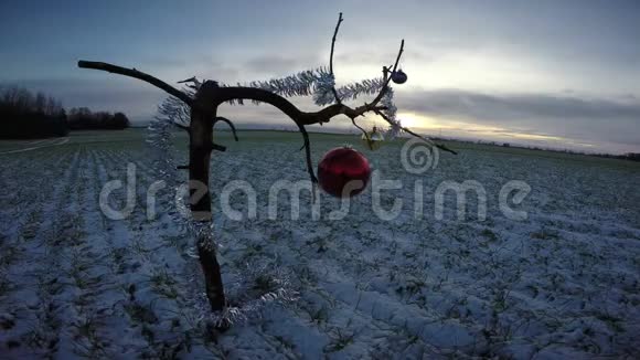 新年时节冬天的早晨在田野上装饰圣诞节视频的预览图