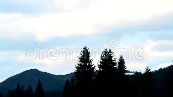 云在山上移动杉树视频的预览图