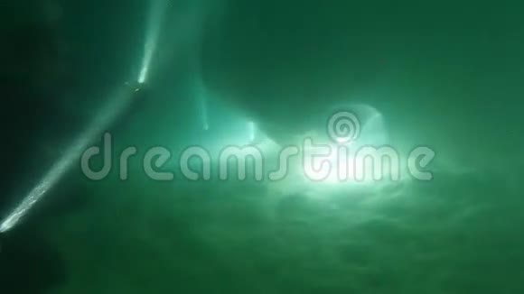 马尔代夫夜间大型珊瑚礁壁炉视频的预览图