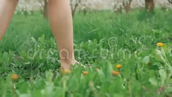 镜头跟随着一个女人的腿她光着脚走过草地树叶在缓慢的运动中散落视频的预览图