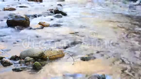 水顺着河流而下视频的预览图