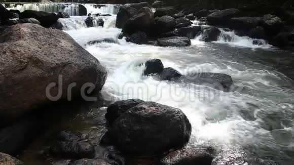 泰国Nakornnayok瀑布视频的预览图