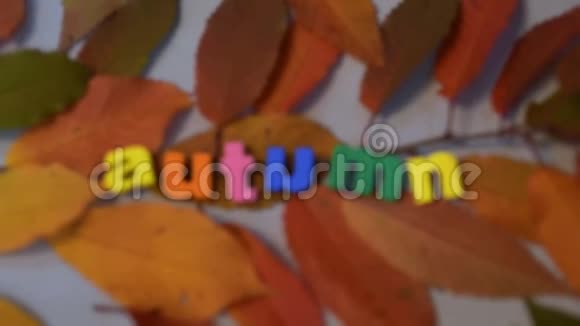 黄叶上彩色字母的词秋视频的预览图