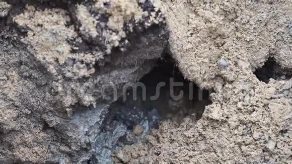 水滴在肮脏的水坑里泥土沙子慢动作视频的预览图