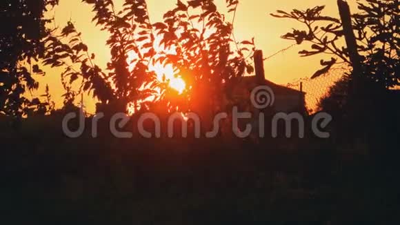 夕阳下的乡村景观视频的预览图