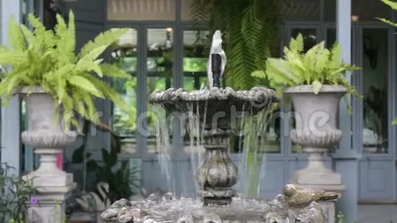 咖啡店花园里的老式喷泉视频的预览图