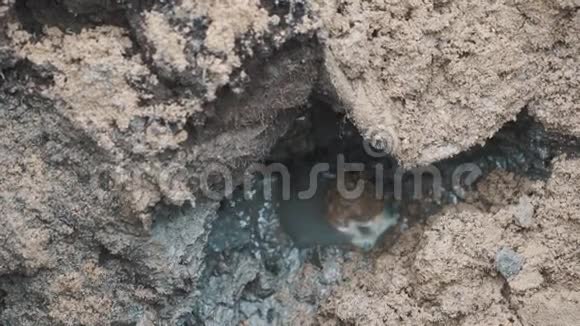 水滴在泥坑里戴着安全帽的工人走过去慢动作视频的预览图