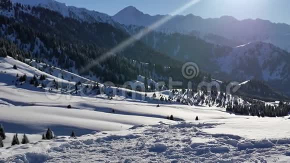 滑雪成功的年轻女子冒险到雪山瑞士滑雪板和滑雪健康活动视频的预览图