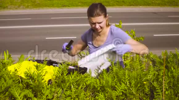 女生态学家在高速公路附近采集植物样本视频的预览图