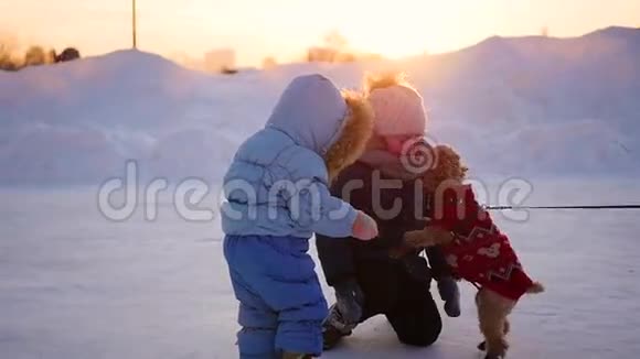 孩子们在冬天日落时玩狗视频的预览图