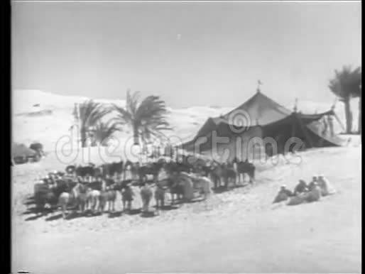 摩洛哥营地的士兵视频的预览图