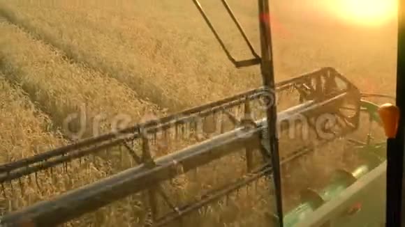 从联合收割机驾驶舱看到日落时收集小麦收获粮田作物季节视频的预览图