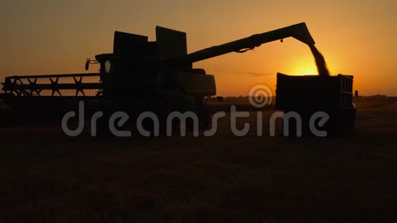 联合收割机的剪影在日落时把小麦倒进卡车里收获粮田作物季节视频的预览图