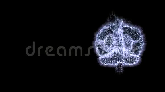 一种旋转的人脑从内部电源电充电视频的预览图