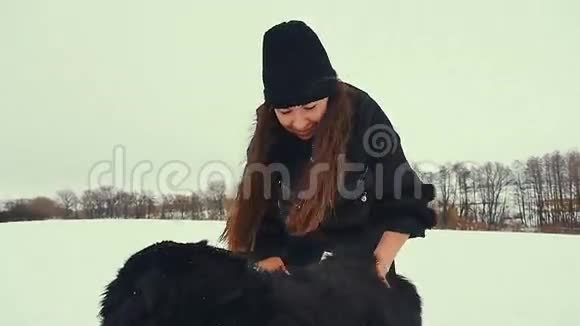 年轻的女人在雪地里玩狗冬天视频的预览图
