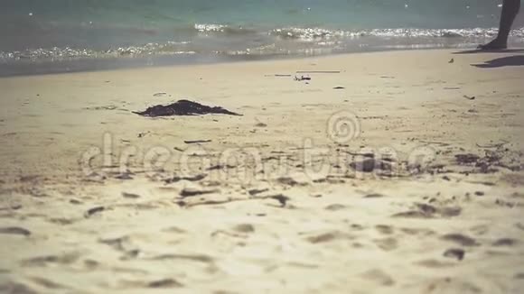 在沙滩上踏着金色的沙滩在海浪中靠近双脚暑假假期慢动作1920x1080视频的预览图