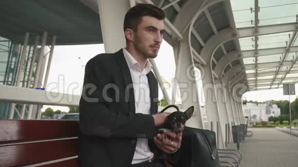 年轻英俊的商人穿着燕尾服抱着他的吉娃娃狗宠物等着出租车城市背景视频的预览图