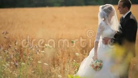 新郎拥抱他美丽的新娘吻她在黄色的麦田视频的预览图