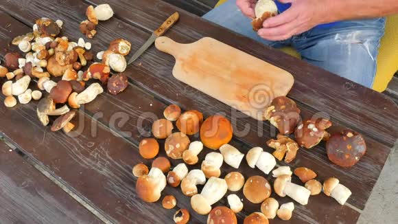 老手用菜刀清洗野菇人手拿蘑菇从茎中取出粘土或根视频的预览图