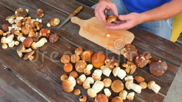 老手用菜刀清洗野菇人手拿蘑菇从茎中取出粘土或根视频的预览图