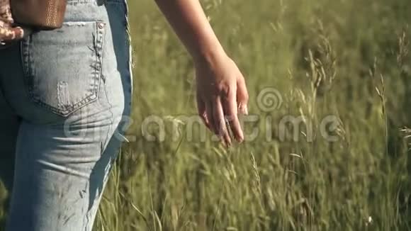 女旅行者穿过高高的草地年轻的女旅行者抚摸草地享受徒步旅行慢动作视频的预览图