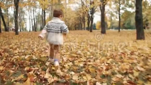 快乐有趣可爱的小男孩跑过落叶穿过公园里令人惊叹的秋巷慢悠悠的视频的预览图