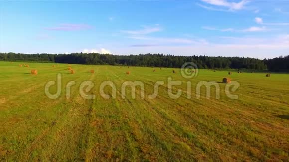 无人机飞越干草堆视频的预览图