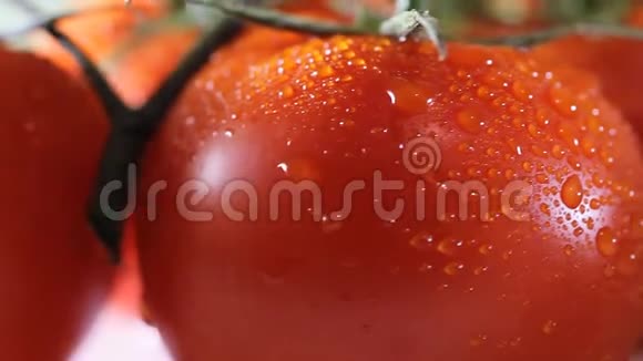 水溅在番茄射击与高速相机幻影弯曲高清高清视频的预览图