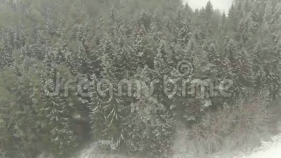 冬季森林在雪空中视频视频的预览图
