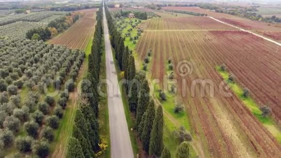 空中射击一条两棵柏树之间的道路在意大利托斯卡纳的耕地中间用无人驾驶飞机射击视频的预览图