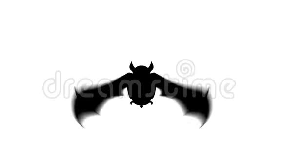 蝙蝠在白色背景上飞行视频的预览图