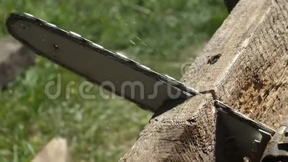 锯木板用电锯锯木人锯木供家庭使用侧视视频的预览图