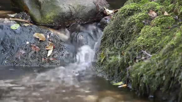 流石和苔藓视频的预览图