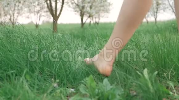 镜头跟随着一个女人的腿她光着脚走过草地树叶在缓慢的运动中散落视频的预览图