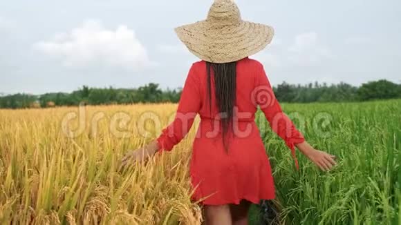 性感的年轻女子穿着白色连衣裙在美丽的夏季日落时享受紫罗兰薰衣草年轻女性视频的预览图