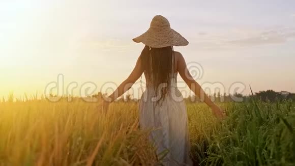 性感的年轻女子穿着白色连衣裙在美丽的夏季日落时享受紫罗兰薰衣草年轻女性视频的预览图