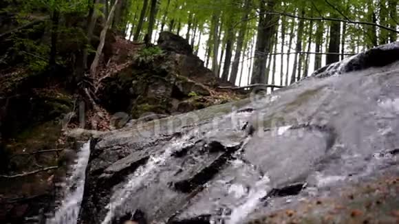 野生森林岩石景观中的流水岩石小道上的水流视频的预览图