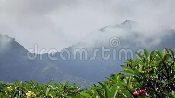 印度尼西亚巴厘岛云层在山上移动热带花园时间流逝视频的预览图