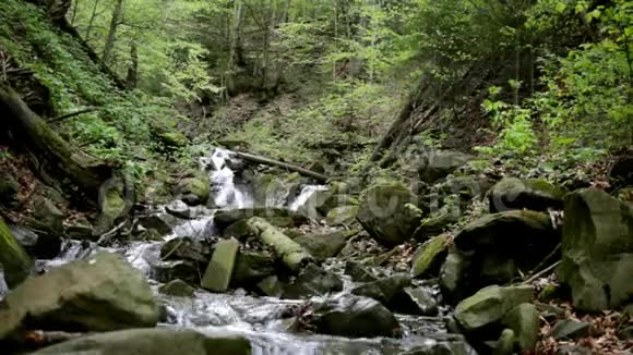 山河在绿色森林中的石头之间流动高山瀑布视频的预览图
