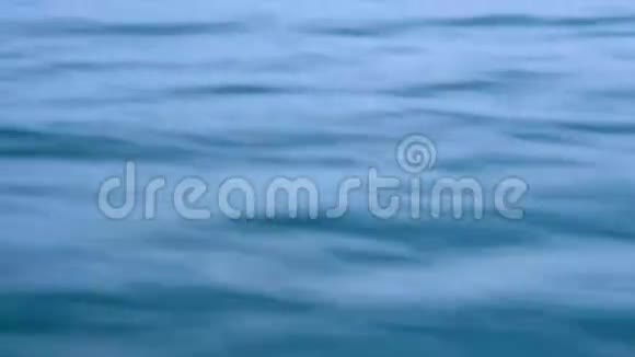 在强风中水面上荡漾视频的预览图