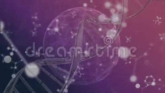 在粉红色和紫色背景上移动的DNA细胞和分子结构视频的预览图