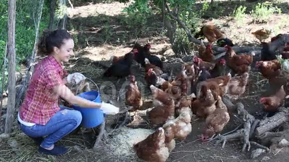 女农民撒鸟视频的预览图