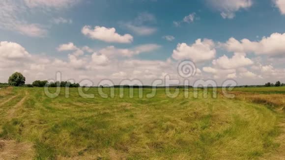 牧场青翠的草地下一片蓝天白云视频的预览图