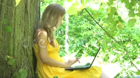 金发女郎穿着黄色连衣裙在笔记本电脑上聊天倚在公园树上4K视频的预览图